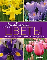 ����� "���������� �����: ��������, ����������, ������������, ������ ���������� - ��������� �����������"