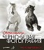 Современная черно-белая фотография. Современная черно-белая фотография.