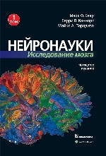 книга "Нейронауки. Исследование мозга. 4-е издание. Том 1, Марк Ф. Беар, Барри У. Коннорс, Майкл А. Парадизо - увеличить изображение"